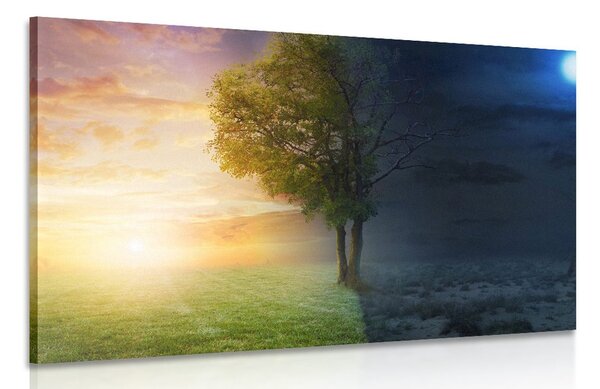 Quadro su tela – Giorno e notte