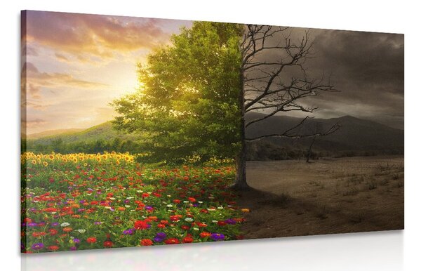 Stampa su tela – Due aspetti dell'albero