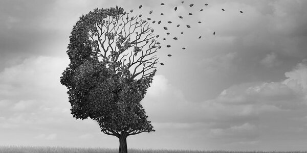 Quadro su tela – Albero in forma di volto