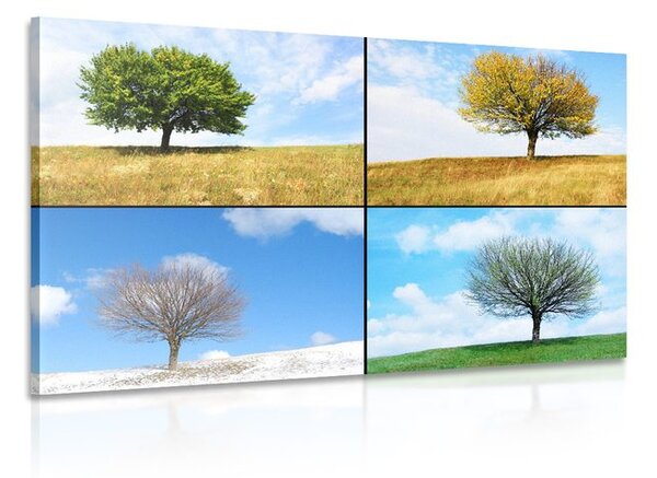 Stampa su tela – Albero nelle stagioni