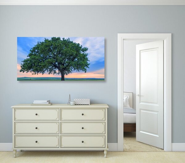 Quadro su tela – Quercia solitaria