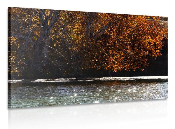 Quadro su tela – Riflesso delle foglie nel lago