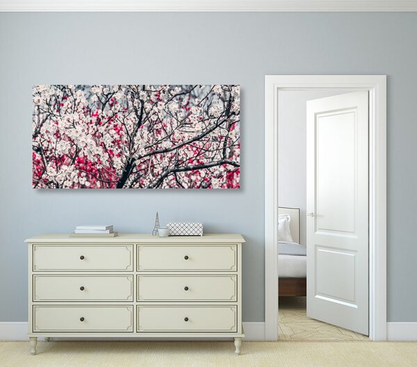 Quadro su tela – Fiori di pesco
