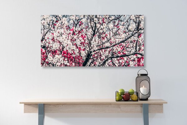 Quadro su tela – Fiori di pesco