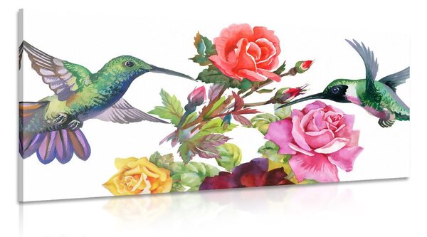 Quadro su tela – Colibrì con fiori