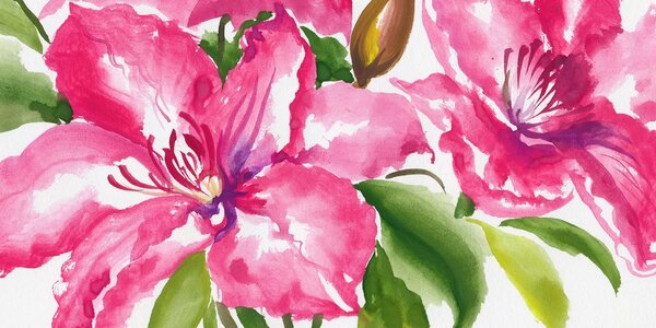 Quadro su tela – Fiori meravigliosi