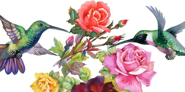 Quadro su tela – Colibrì con fiori