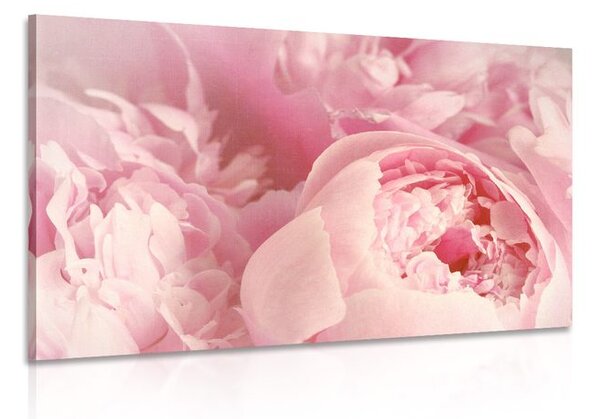 Stampa su tela – Petali di fiore