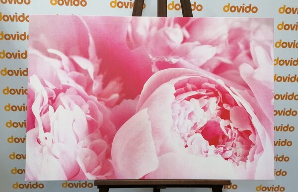 Stampa su tela – Petali di fiore