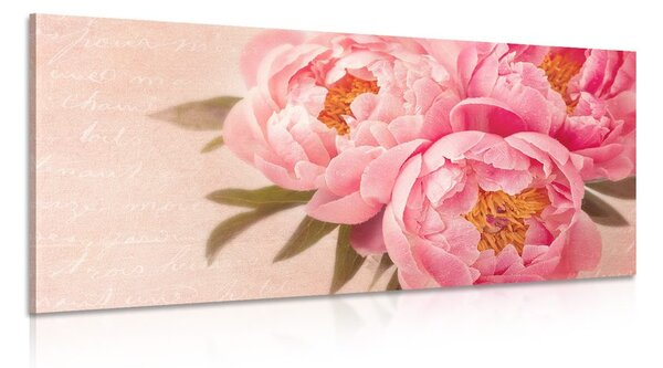 Stampa su tela – Peonia delicata