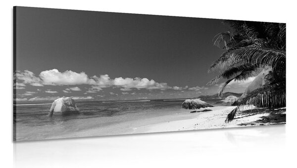 Quadro su tela – Spiaggia Anse Source in bianco e nero