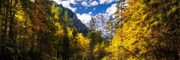 Stampa su tela – Paesaggio montano