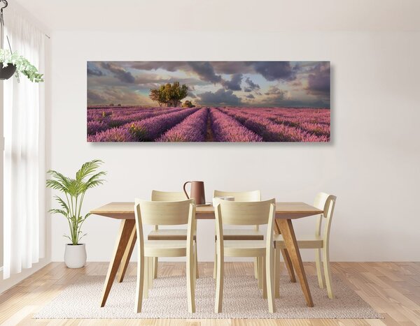 Stampa su tela – Terra dei campi di lavanda