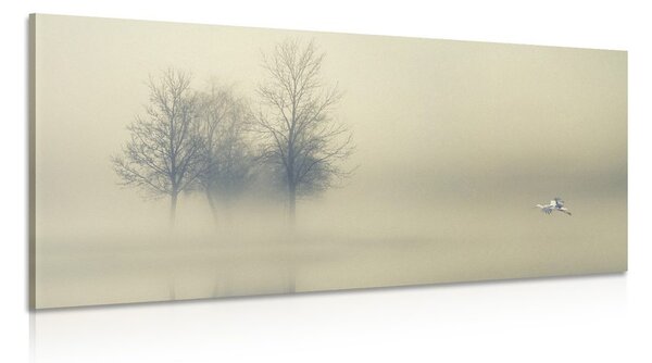 Stampa su tela – Alberi nella nebbia