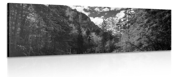 Quadro su tela – Paesaggio montano in bianco e nero
