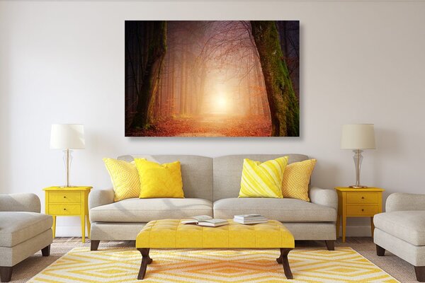 Quadro su tela – Foresta in colori fiabeschi