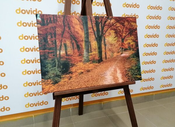 Stampa su tela – Foresta in autunno