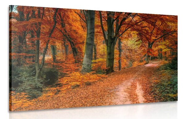 Stampa su tela – Foresta in autunno