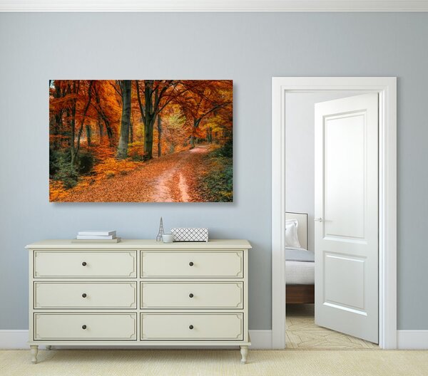 Stampa su tela – Foresta in autunno