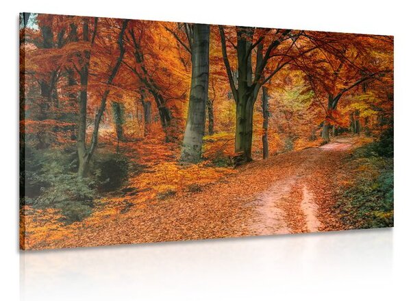 Stampa su tela – Foresta in autunno