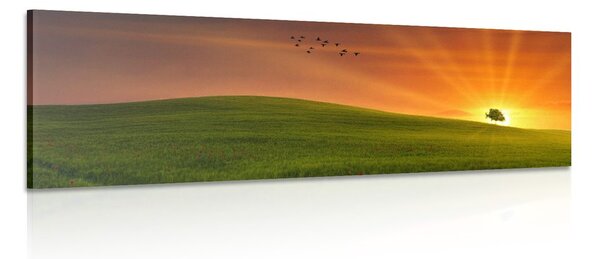Quadro su tela – Albero nel prato