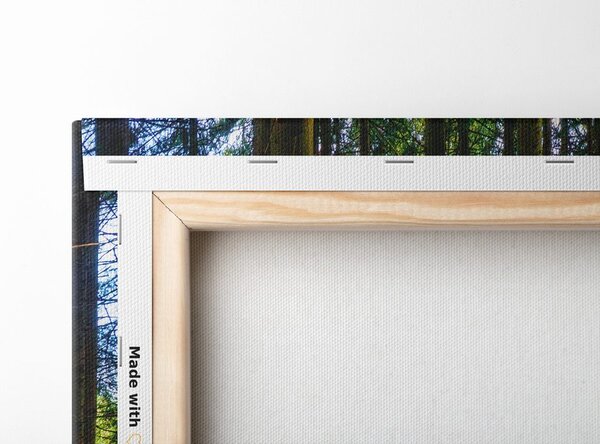 Stampa su tela – Mattina nella foresta