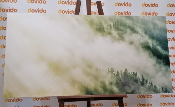 Quadro su tela – Foresta nebbiosa