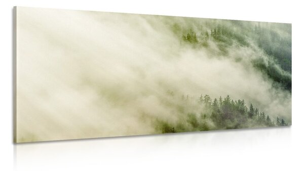 Quadro su tela – Foresta nebbiosa