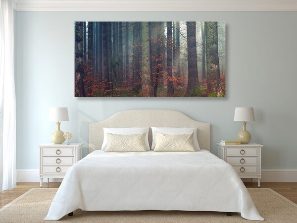 Quadro su tela – Mistero della foresta