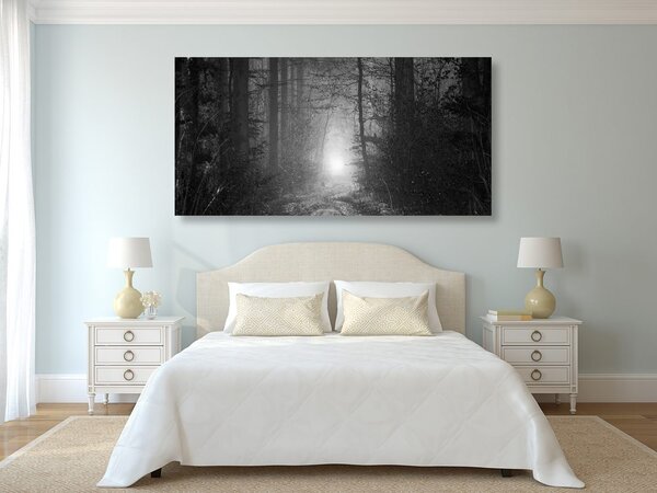 Quadro su tela – Luce nella foresta in bianco e nero