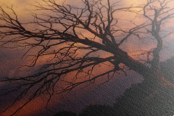 Stampa su tela – Splendido albero sul prato