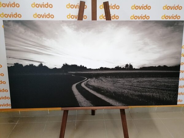 Stampa su tela – Tramonto sul paesaggio in bianco e nero