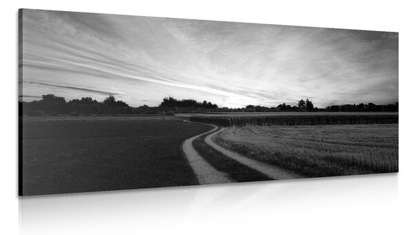 Stampa su tela – Tramonto sul paesaggio in bianco e nero