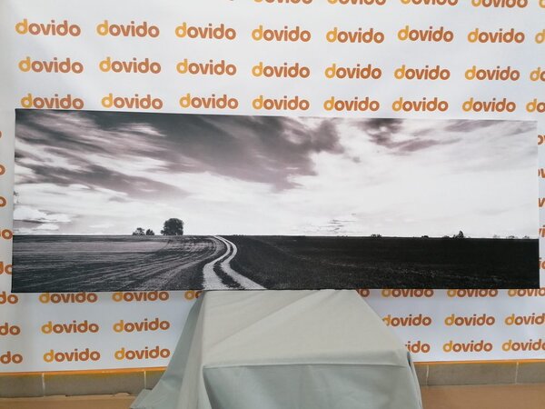 Quadro su tela – Paesaggio incantevole in bianco e nero