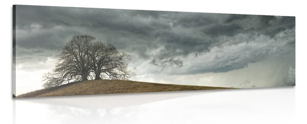 Quadro su tela – Alberi solitari