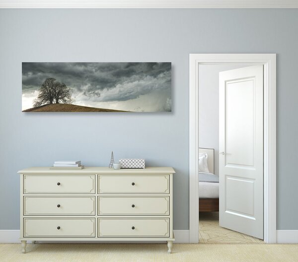 Quadro su tela – Alberi solitari