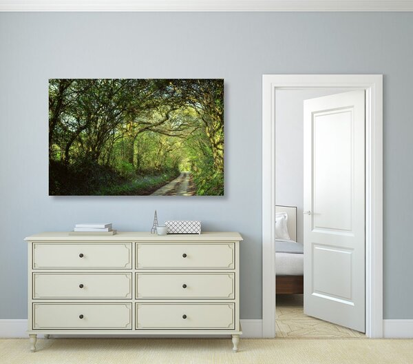 Quadro su tela – Foresta da fiaba