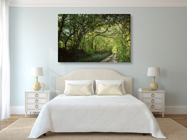 Quadro su tela – Foresta da fiaba