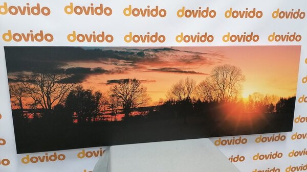 Quadro su tela – Splendido tramonto
