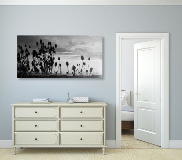 Quadro su tela – Steli d'erba nel campo in bianco e nero