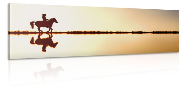 Stampa su tela – Cavaliere a cavallo