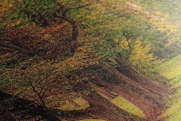 Quadro su tela – Sentiero nella foresta autunnale