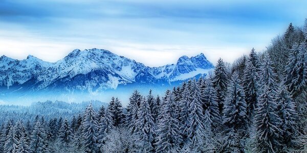 Quadro su tela – Montagne congelate
