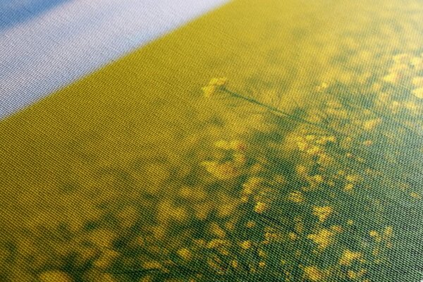 Stampa su tela – Campo giallo