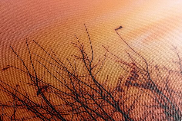 Quadro su tela – Cielo colorato