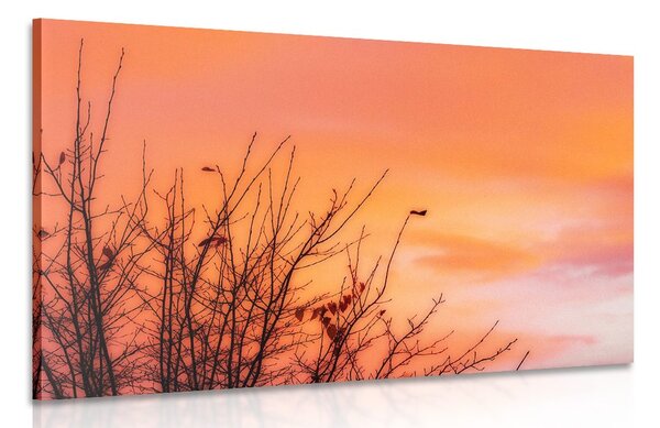 Quadro su tela – Cielo colorato