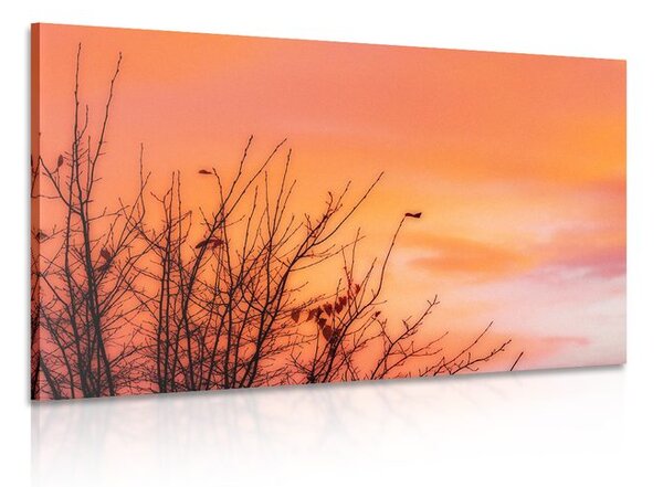 Quadro su tela – Cielo colorato