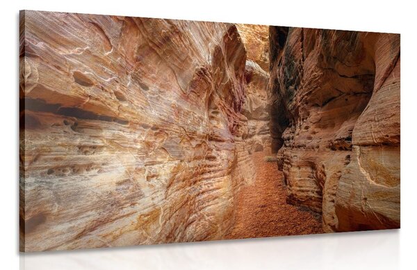 Quadro su tela – Sentiero nel Grand Canyon
