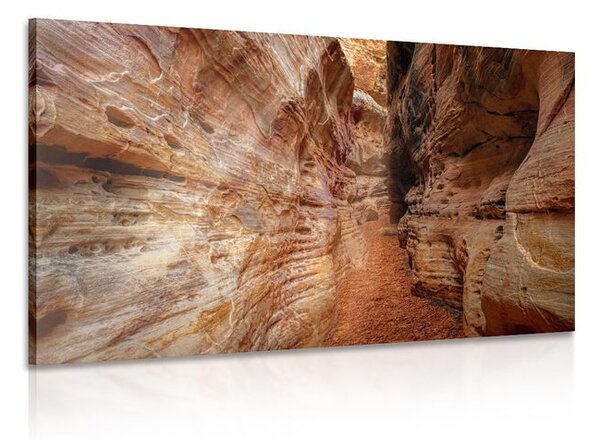 Quadro su tela – Sentiero nel Grand Canyon
