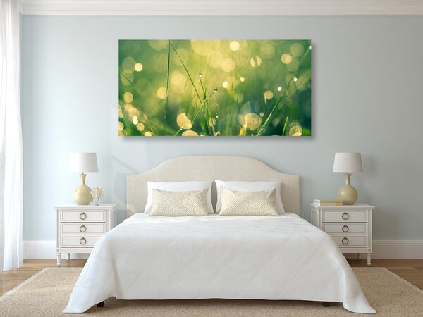 Quadro su tela – Rugiada mattutina